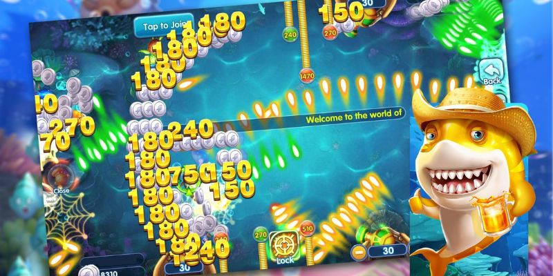 Bí quyết tham gia săn cá TP chuẩn nhất