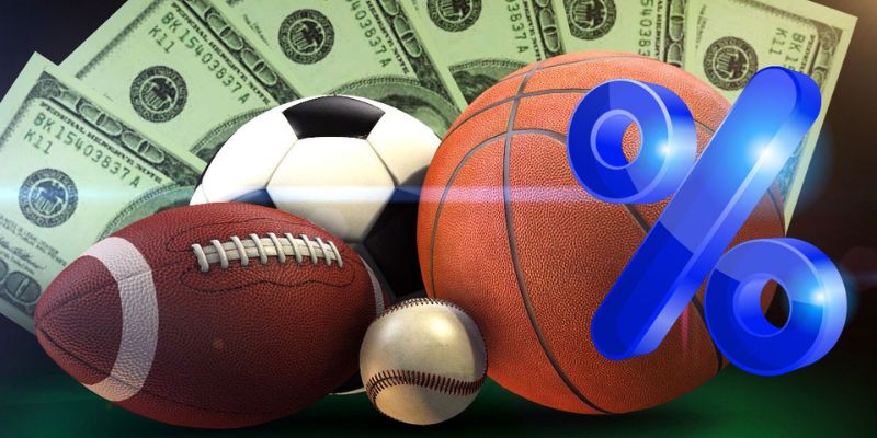 Giao diện nền tảng trực tuyến rõ ràng, dễ quan sát